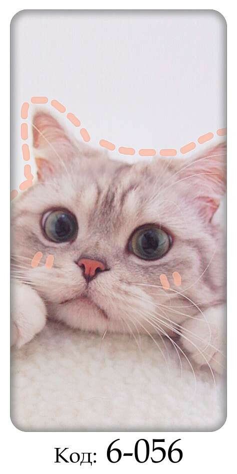 Котики & Собачки